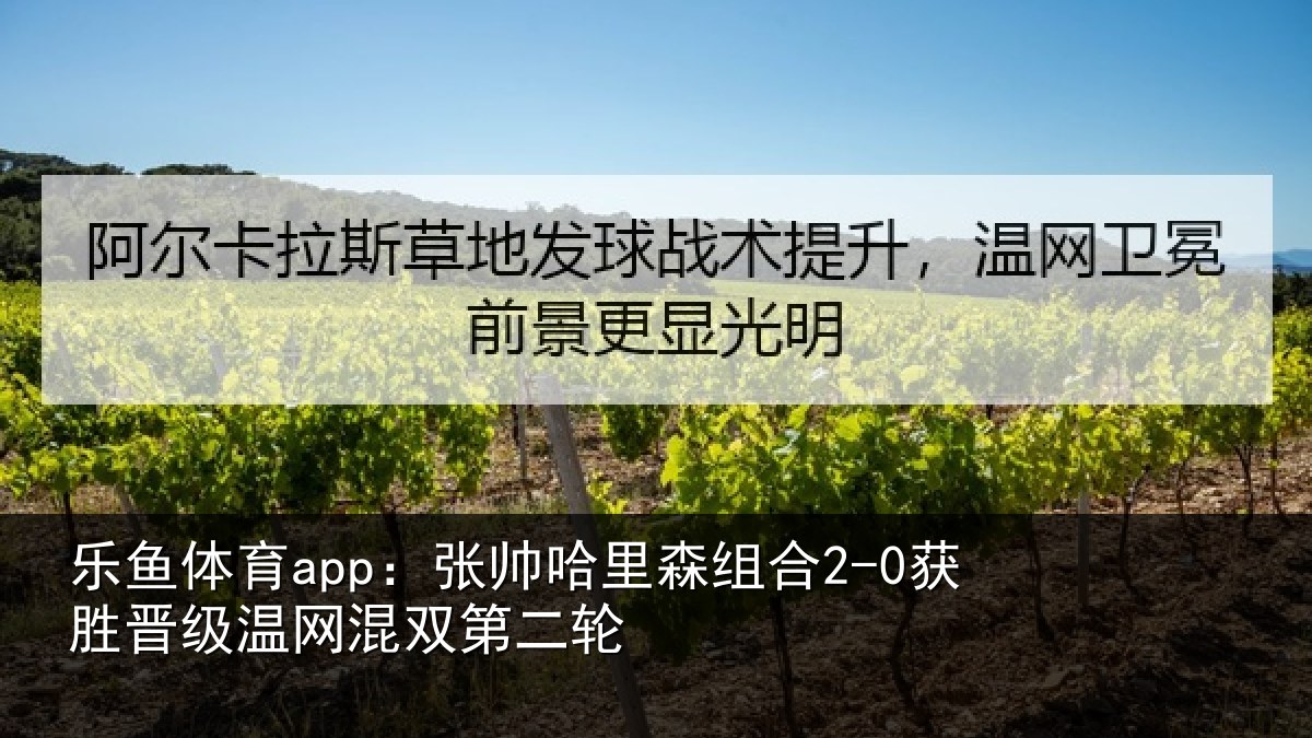 乐鱼体育app:张帅相关情况级温网混双第二轮